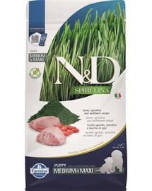 N&D Spirulina Puppy Medium Maxi Lamb and Wolfberry 100g